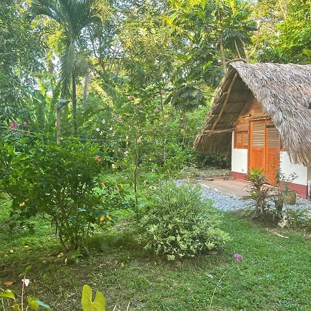 Cabanas Tucan Eco Hotel Capurganá Kültér fotó