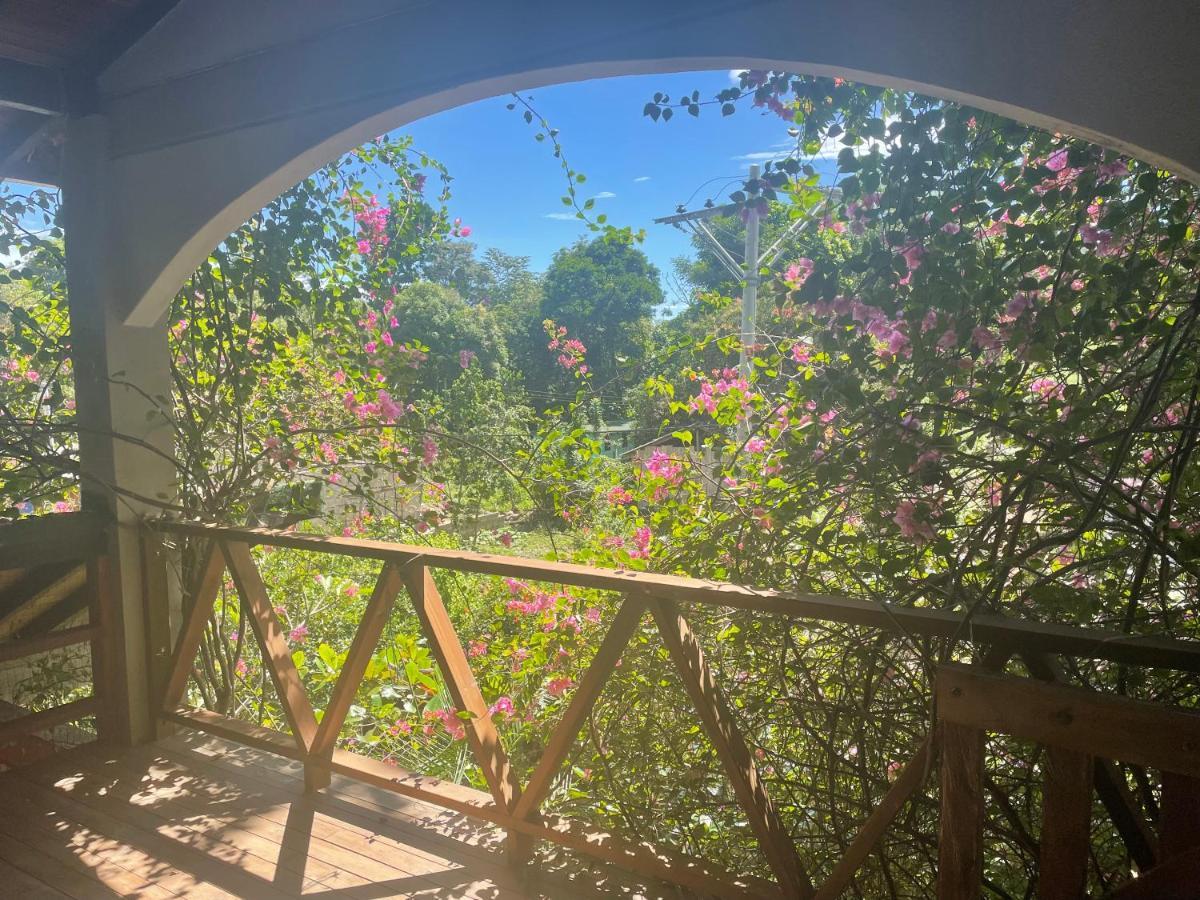Cabanas Tucan Eco Hotel Capurganá Kültér fotó