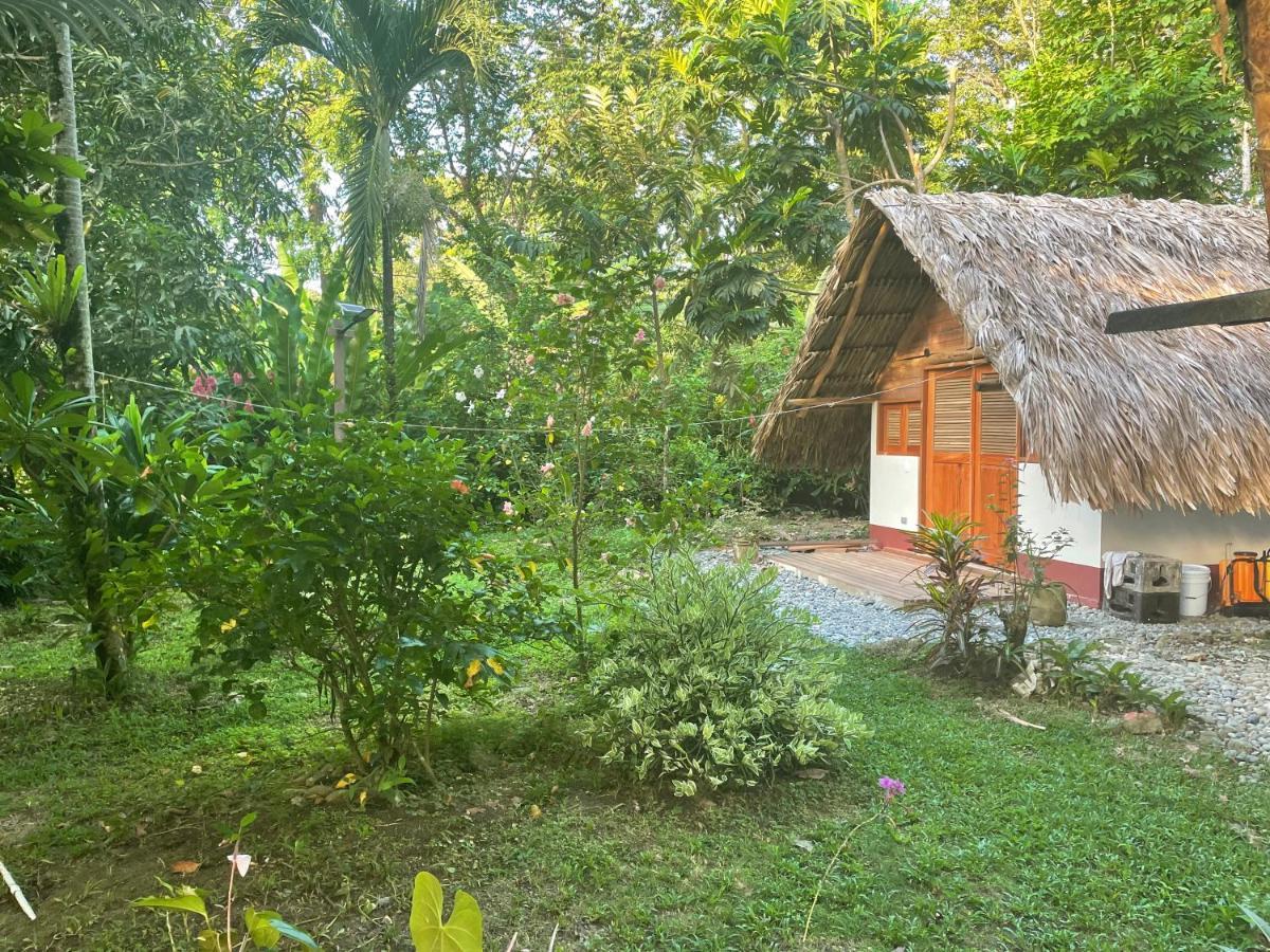 Cabanas Tucan Eco Hotel Capurganá Kültér fotó