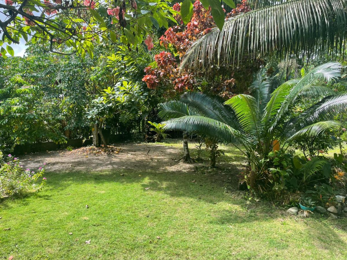 Cabanas Tucan Eco Hotel Capurganá Kültér fotó
