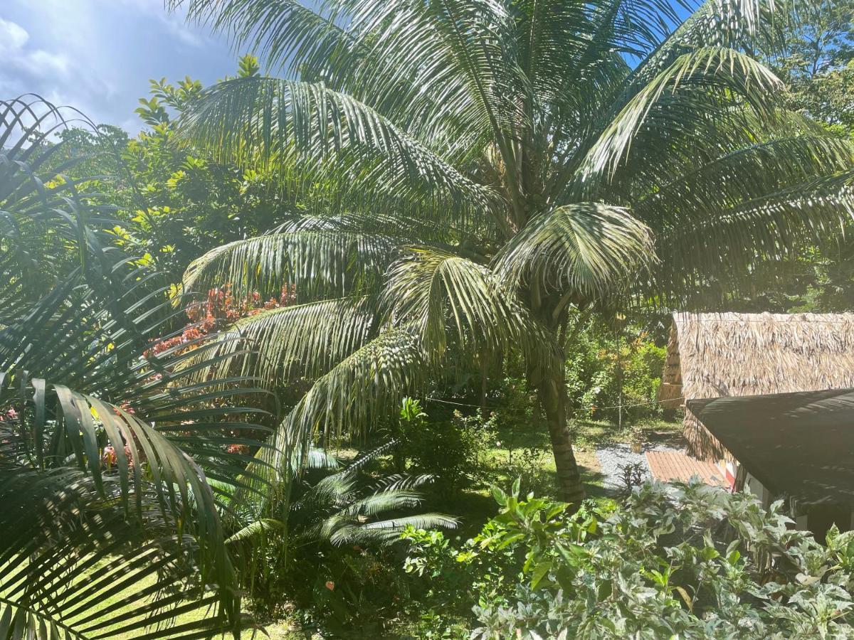 Cabanas Tucan Eco Hotel Capurganá Kültér fotó