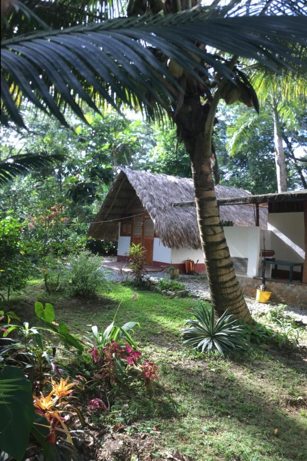Cabanas Tucan Eco Hotel Capurganá Kültér fotó